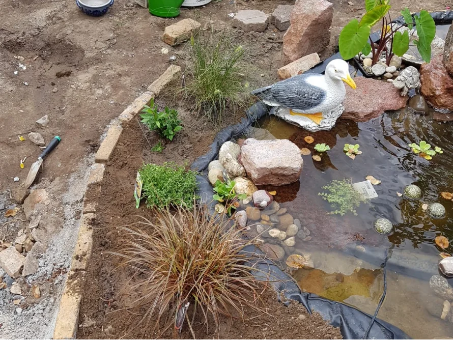 Gartenteich mit Möwenfigur im Bau