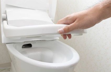 RT Toiletten Uebersicht Klicksystem 20 43 717x467 WC-Sitz mit Klicksystem