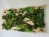 Wanddekoration aus Moos und Holz
