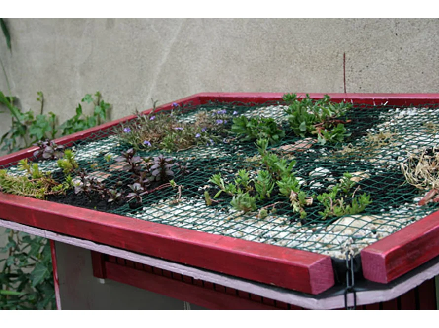 Begrüntes Gartenhausdach mit Gitter