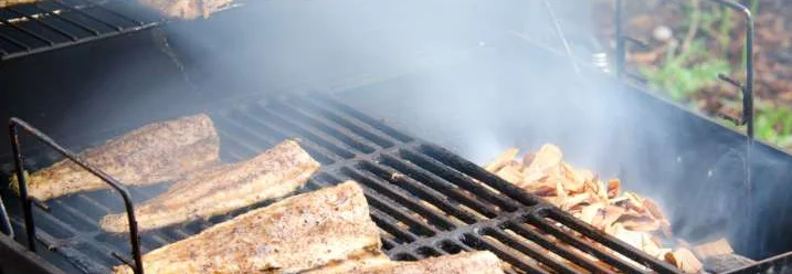 Fisch auf einem Grill