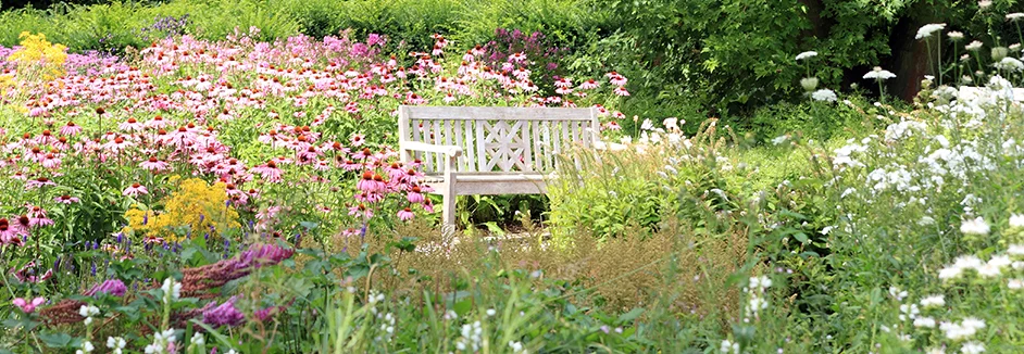 Gartenbank inmitten eines Blumenbeets