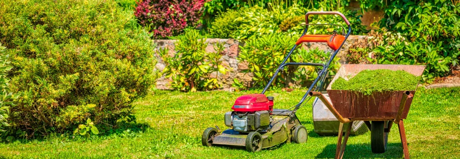 Rasenmäher und Schubkarre im Garten