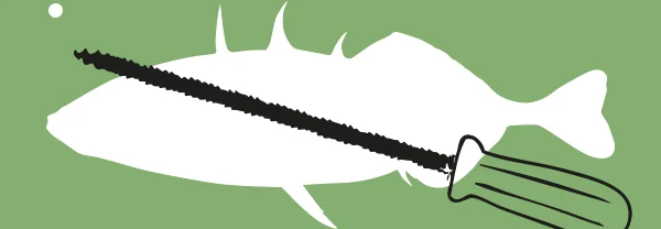 Weißer Fisch mit Säge