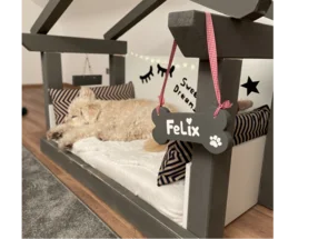 Hundehütte aus Holz