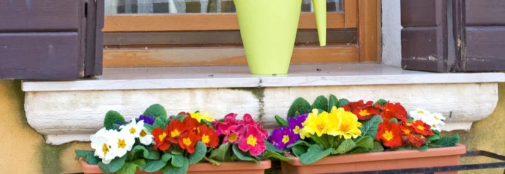 Blumenkasten mit bunten Blumen und Gießkanne