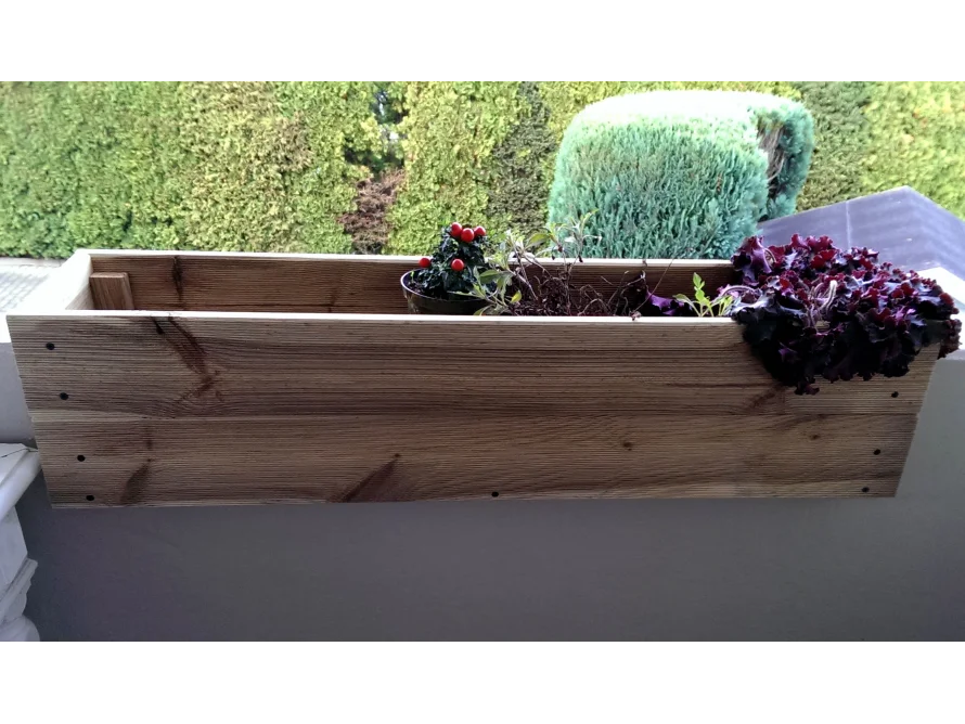 Holzkasten mit Pflanzen auf einem Fensterbrett