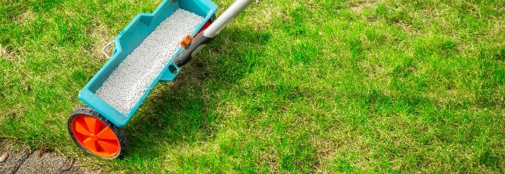 Düngerstreuer auf grünem Rasen