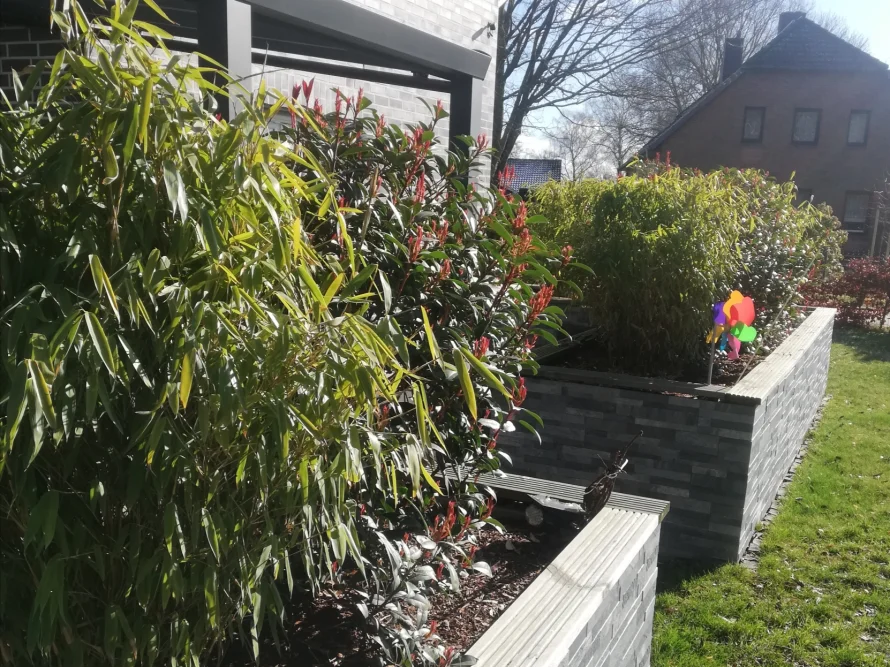 Garten mit Bambus und Windrad