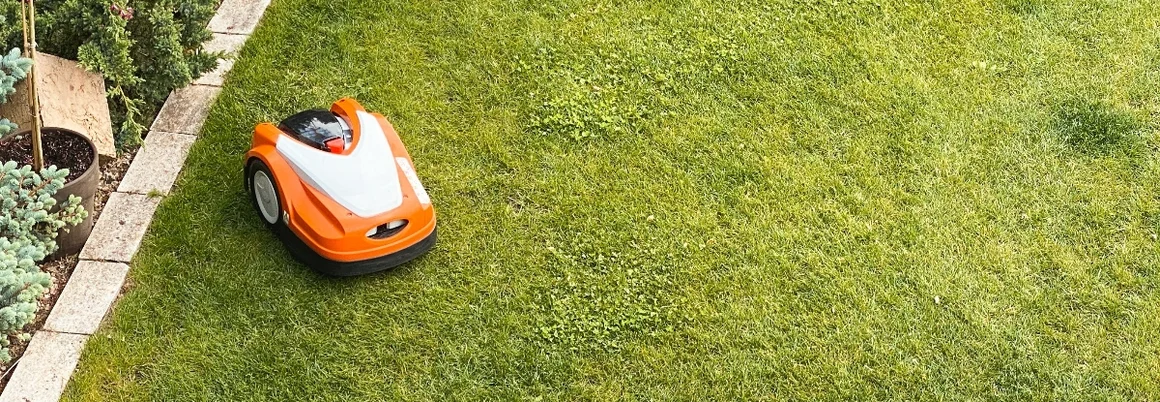 Mähroboter auf grünem Rasen