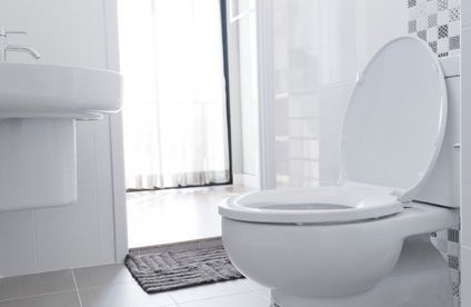 RT Toiletten Uebersicht Toilettendeckel 20 43 717x467 Weiße Toilette mit aufgeklappten Deckel