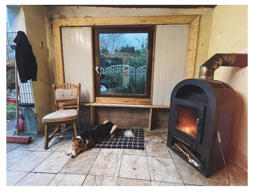 Hund schläft vor Ofen in Gartenlaube