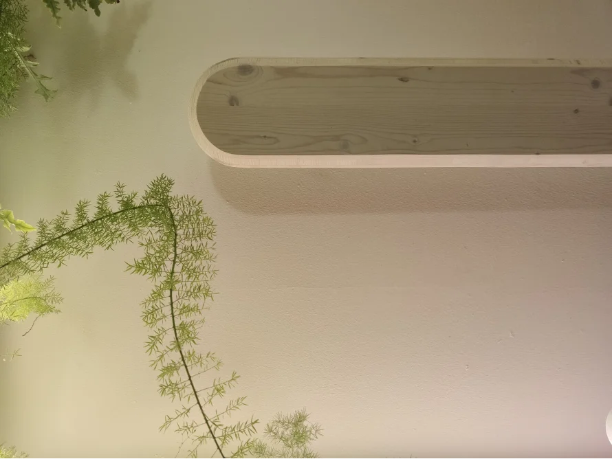 Hölzerner Balken und Pflanzen an einer Wand