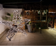 Weihnachtsstern mit Lichterkette