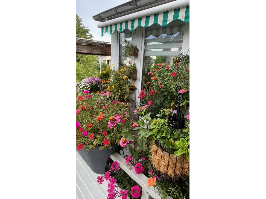 Blumen auf einem Balkon