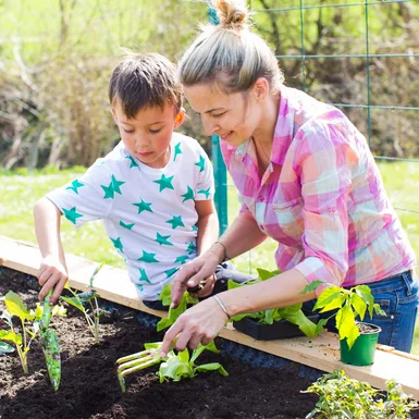 Personen pflanzen mit Gartengerät im Hochbeet
