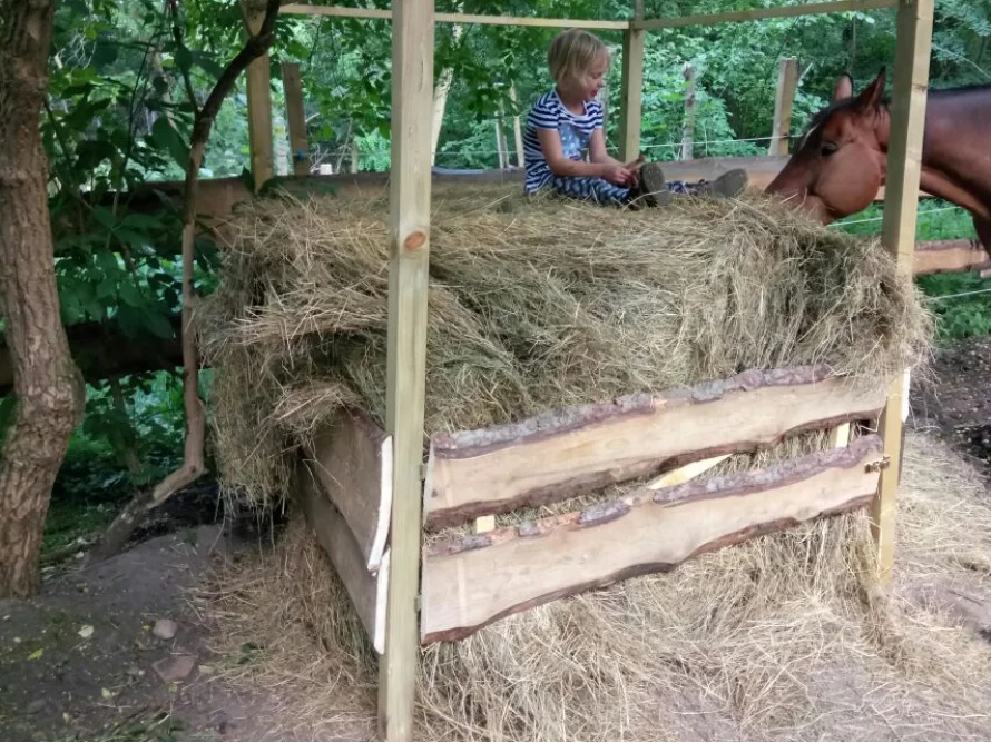 Kind und Pferd an Heuraufe