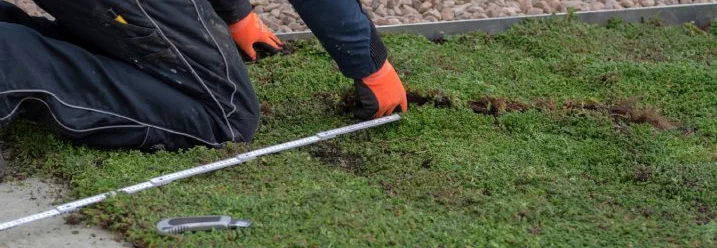Person verlegt Dachbegrünung