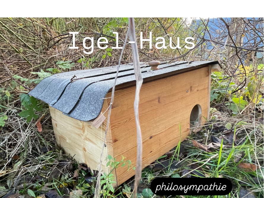 Igelhaus aus Holz