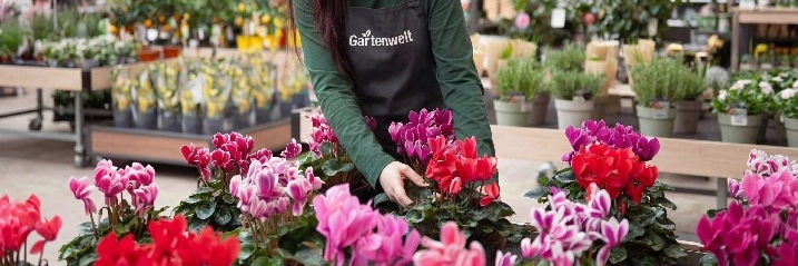 Eine Mitarbeiterin in einem Gartencenter pflegt bunte Blumen in Töpfen.