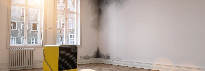 Entfeuchter in einem Raum mit Schimmelschaden