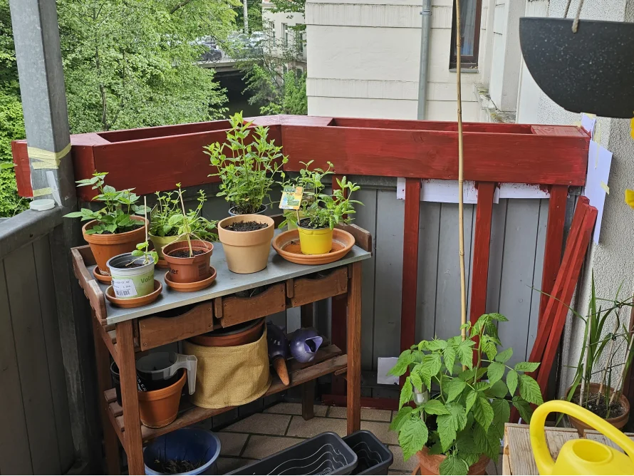 Kräuter auf einem Balkon