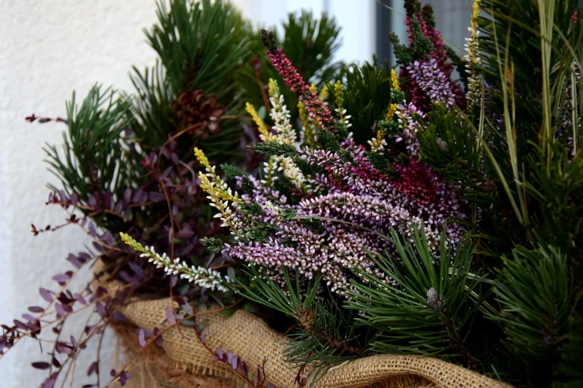 Herbstliche Bepflanzung