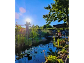 Sonniger Gartenteich mit Steg und Laube