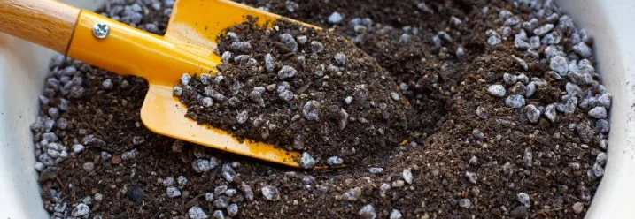 Gelbe Handschaufel in Blumenerde