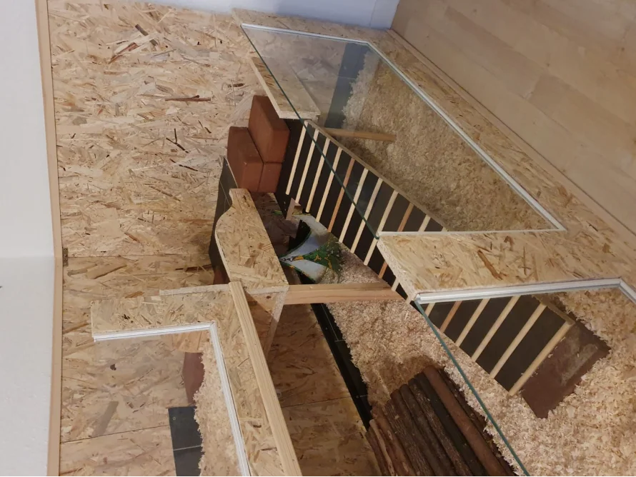 Ein Meerschweinchengehege aus Holz und Glas.