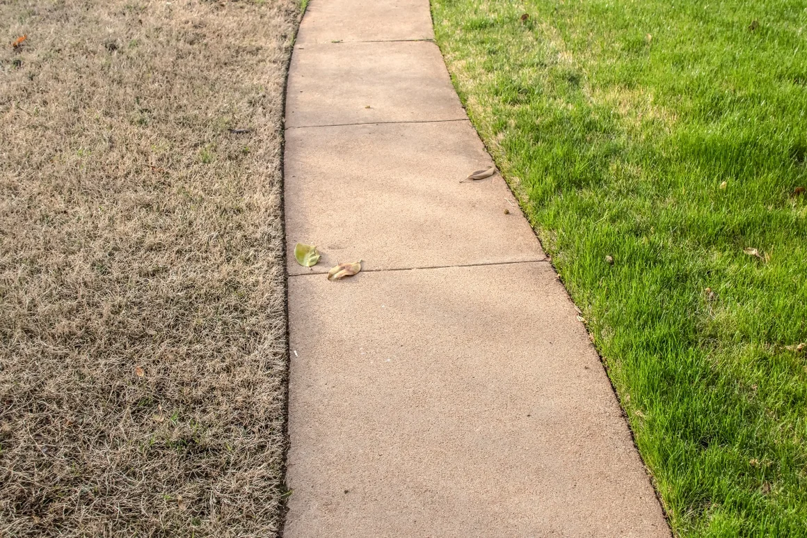 Betonweg zwischen braunem und grünem Rasen