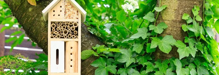 Insektenhotel am Baum
