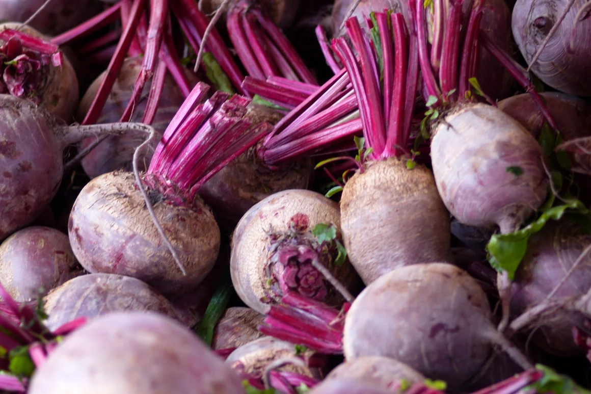 Ein Haufen rote Bete