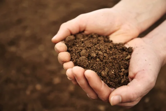 Hände halten dunkle Erde