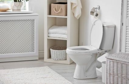 RT Toiletten Uebersicht Aufputz Spuelkasten 20 43 717x467 Toilette mit Aufputz-Spülkasten