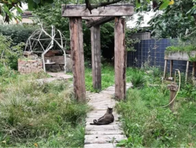 Garten mit Holzkonstruktion und Katze