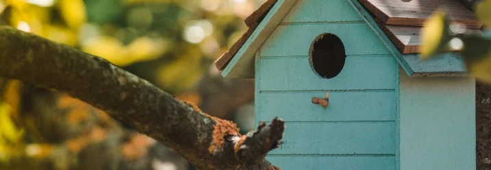 Blauer Nistkasten am Baum