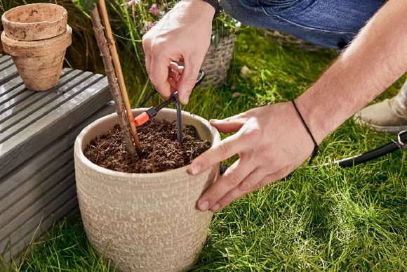 Person installiert ein Bewässerungssystem in einem Topf.
