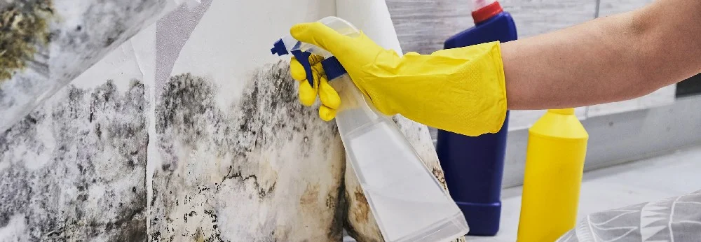 Person reinigt Schimmel mit Sprühflasche