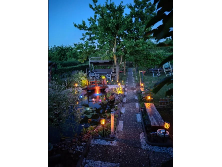 Beleuchteter Gartenteich mit Steg