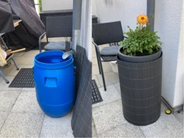 Regentonne und Blumentopf mit Sichtschutz