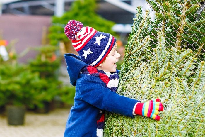 Kleiner Junge umarmt lachend einen großen Weihnachtsbaum.