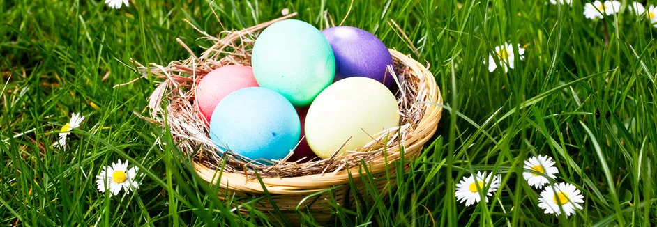 Osterkorb mit bunten Eiern im Gras