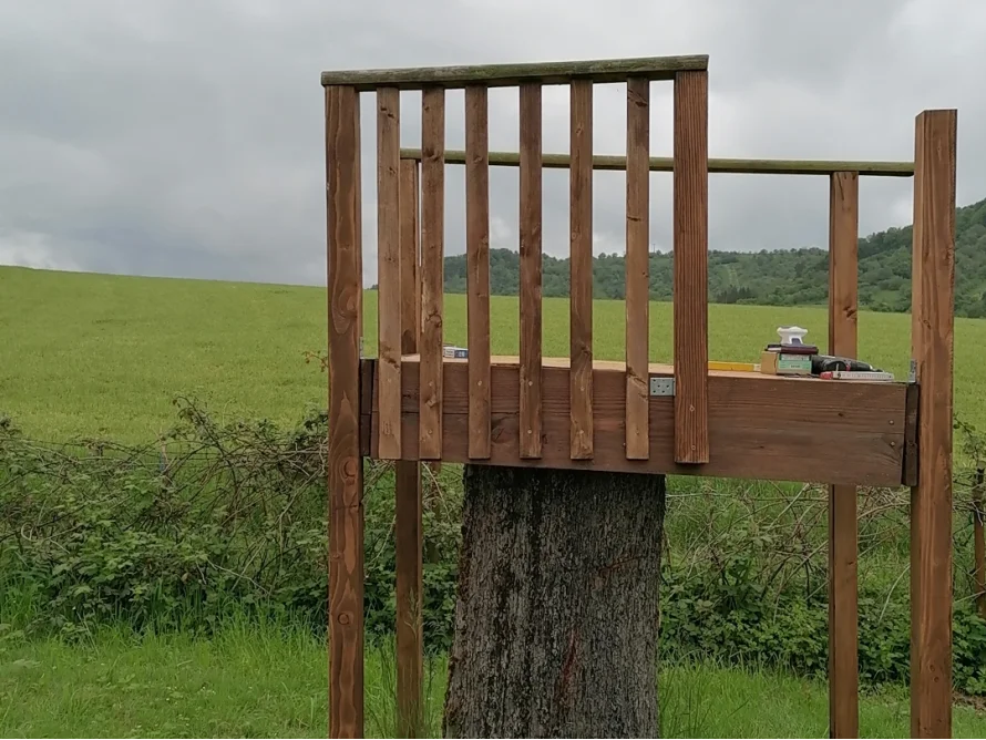Eine erhöhte Plattform aus Holz auf einem Baumstumpf.