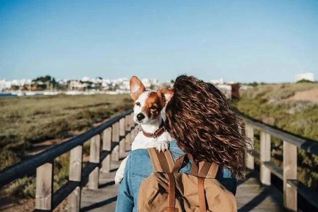 Person mit Rucksack trägt einen Hund auf der Schulter.