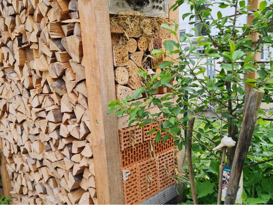 Insektenhotel neben Brennholzstapel