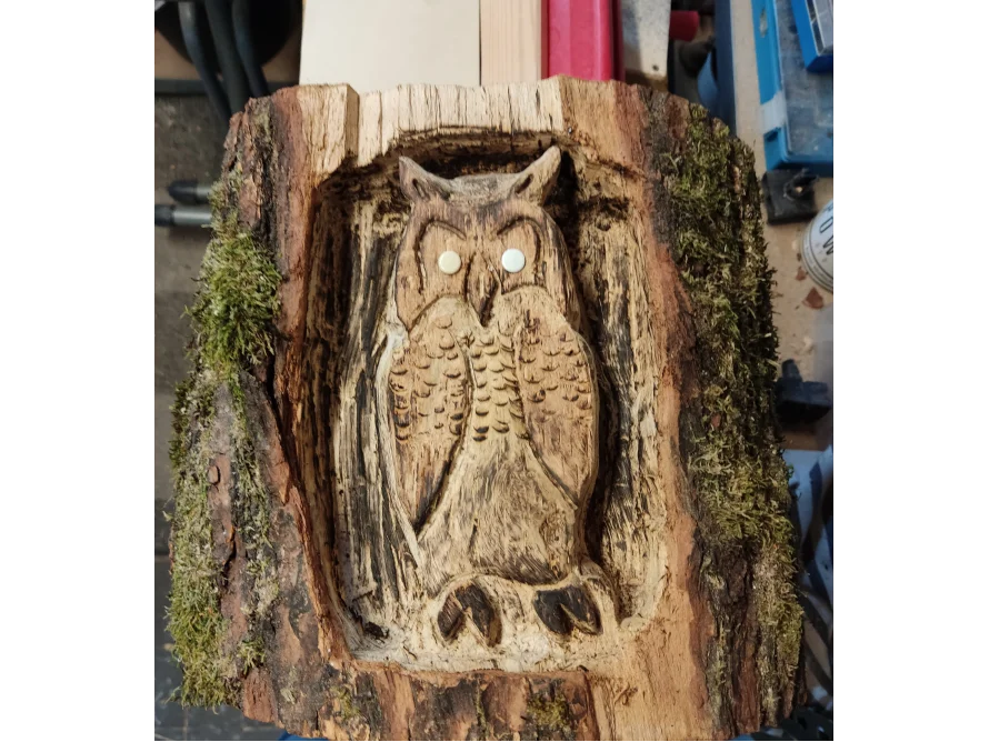 Eule in Baumstamm geschnitzt