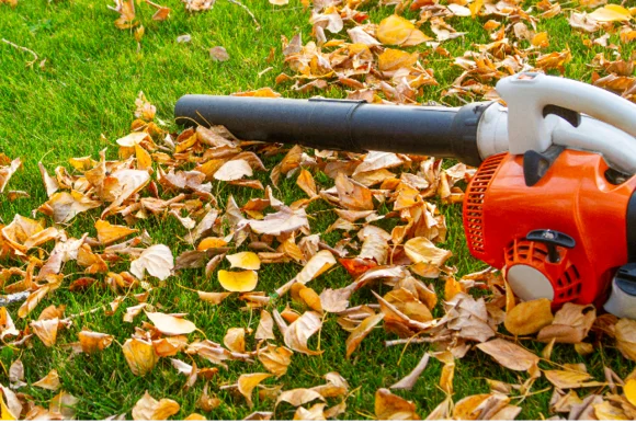 Grundgerüst eines Gartenhauses aus Holz