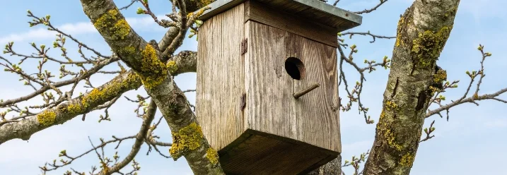 Ein Vogelhaus hängt an einem Baum.