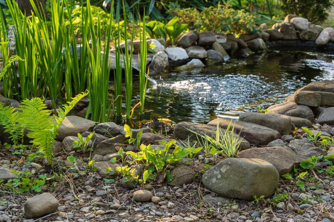 Ein kleiner Bachlauf im Garten.